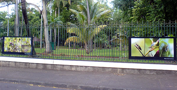 dans la rue du jardin de l'Etat