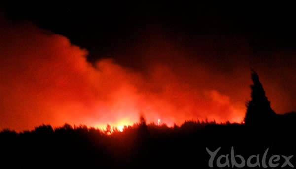 Incendie à la forêt du Maïdo - octobre/novembre 2011